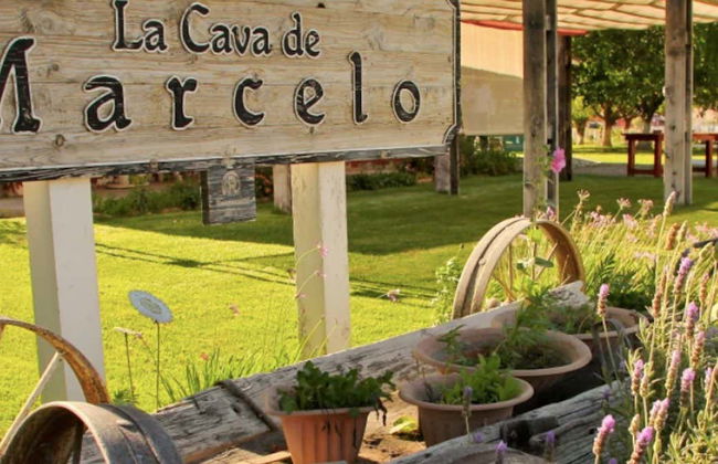 Ensenada Wine & Cheese Tasting - Foto 1