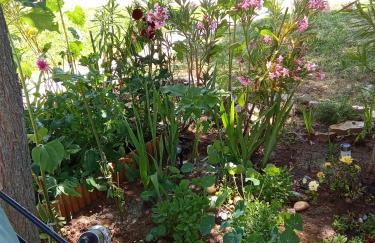 Maison coquette camarguaise - Foto 19