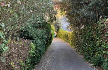 Alojamiento en casa de montaña - Photo 6