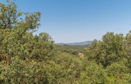 Finca Las Hoyas Loja by Ruralidays - Foto 45