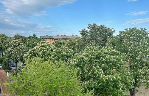 OliVia Home Sauna & Gym - Foto 23