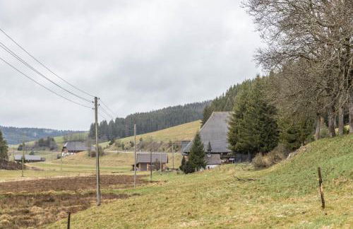 Schwörerhof - Foto 42