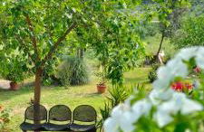 L'oca Nera - Foto 46