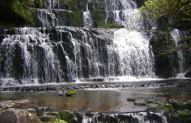 Catlins Newhaven Holiday Park - Foto 37