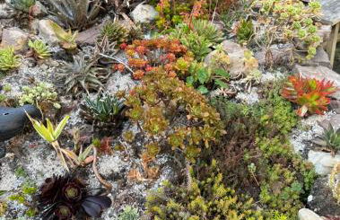 Villa Dornröschen Grebenstein - Foto 30