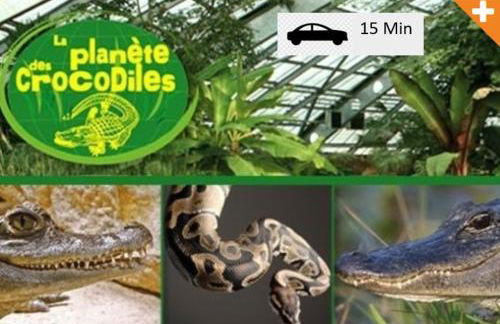 Superbe comfortable studio CHU et Université - Foto 6