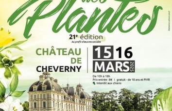 85 l idéal , quiet charm in Tours - Foto 16