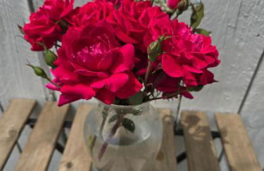 Beautiful Basement Suite & Outdoor Oasis - Photo 18