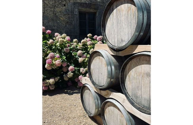 Apartment in Neureichenau - Foto 16