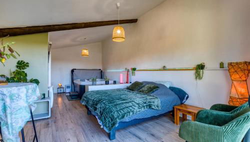 Chambre spa privé Arles campagne - Foto 5