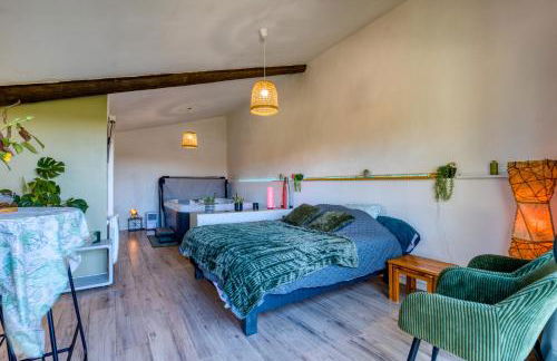 Chambre spa privé Arles campagne - Foto 5