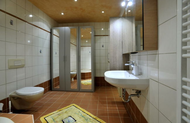 Pension Abertham - Foto 62