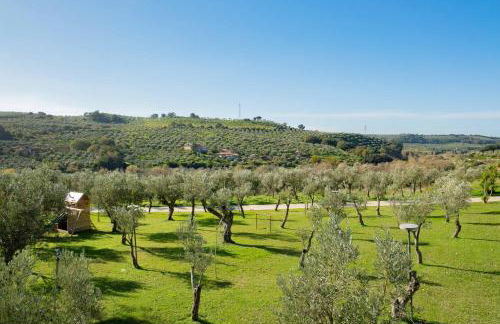 Agriturismo Costantino - Foto 57