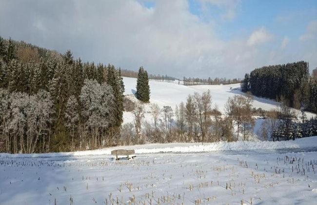 Holiday Home in Lissendorf by Forest - Photo 35