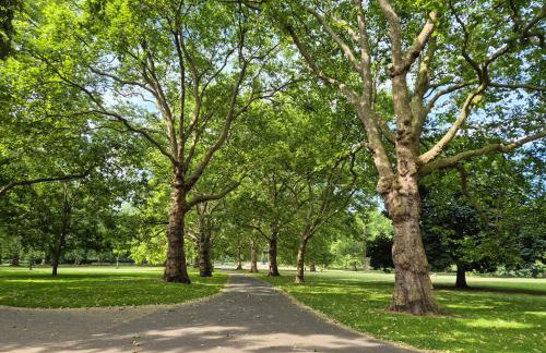 Charming One Bedroom Flat in Rotherhithe - Foto 30