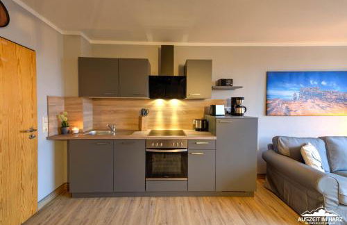 Auszeit-im-Harz Haus 5 Wohnung 36 - Foto 3