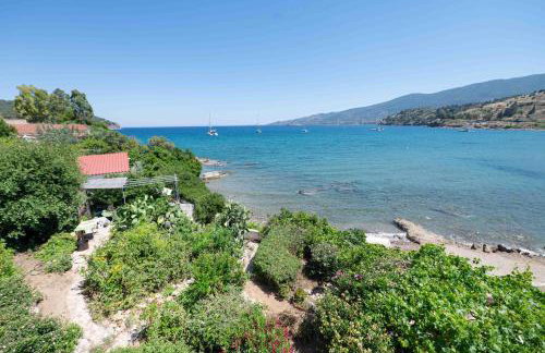 Villa Mimosa Poros Beachfront Apartments - Foto 61
