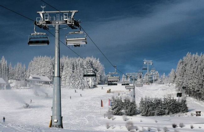 Williaduct Modern Retreat - Photo 8