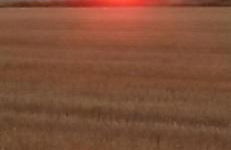 Apartment Kleine Koje - Foto 12