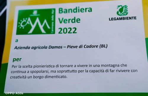 AGRITURISMO BORGO DAMOS - Foto 54