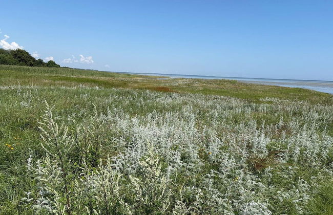 14 Person Holiday Home in Orsted-by Traum - Foto 38