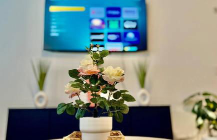 Stylish Lux Haven Southside Pool Mayo Clinic Beach - Foto 27