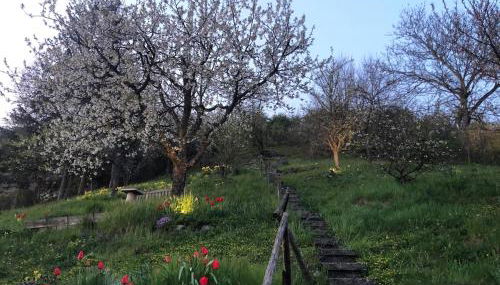 Schröderhof in Eußenheim - Foto 4