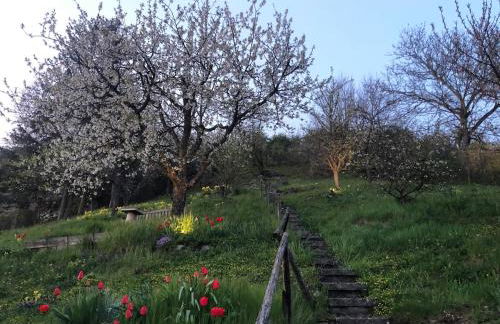 Schröderhof in Eußenheim - Foto 4