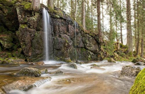 Fidelis-Bühl Muggenbrunn - Foto 7