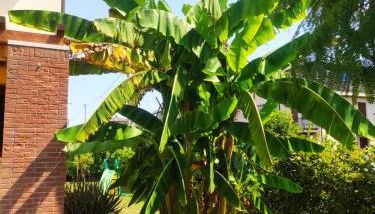 Wilma House - Photo 3