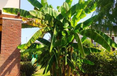 Wilma House - Photo 3