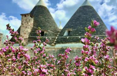 TRULLI ALLEGRETTI - Foto 45