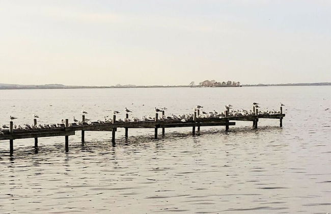 Dornbusch Apartment 1 - Photo 15