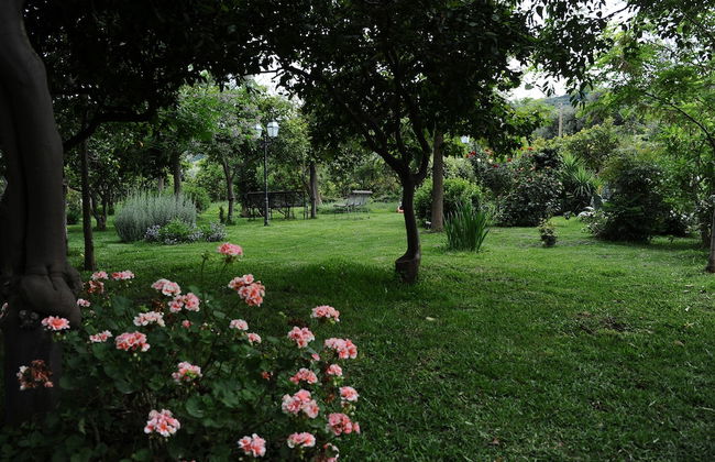 Tenuta Santa Tecla - Foto 74