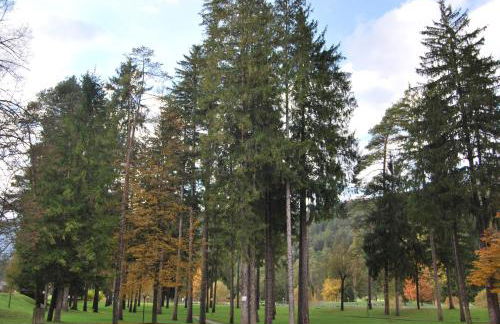 Residenza Finestra sul Parco - Foto 26