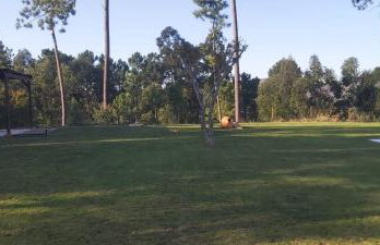 Quinta das Pedrosas - Photo 50