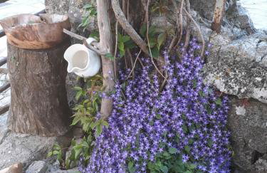 Apartman Biba - Foto 21