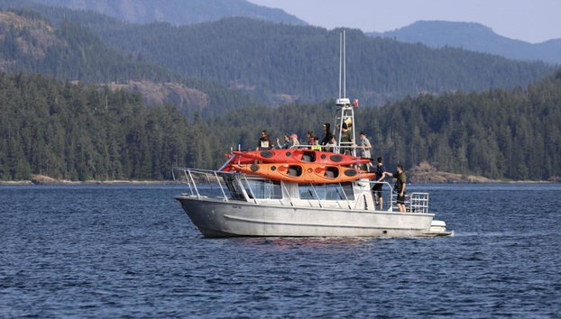 Full Day Kayaking with Whales Tour - Foto 2