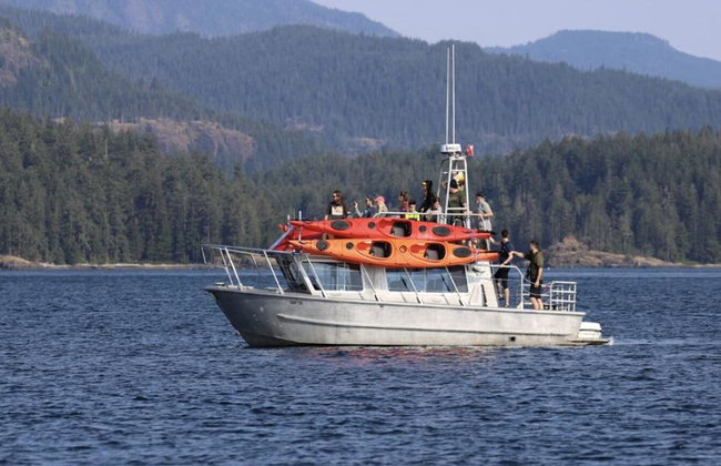 Full Day Kayaking with Whales Tour - Foto 2