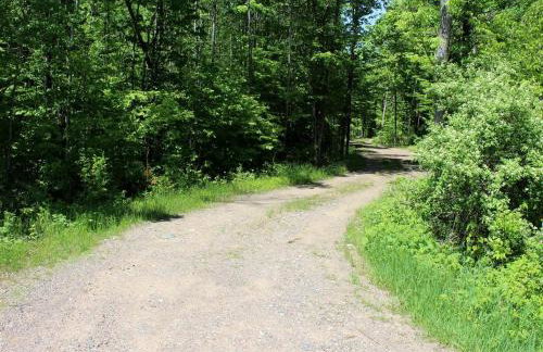 Beautiful and Secluded Cabin Rental with Views of Chippewa River near Hayward, Wisconsin - Foto 21