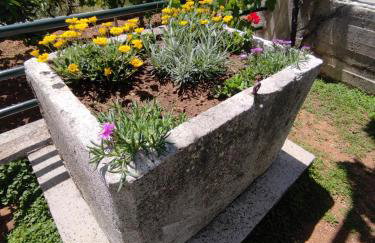 Apartment Kola - Foto 27