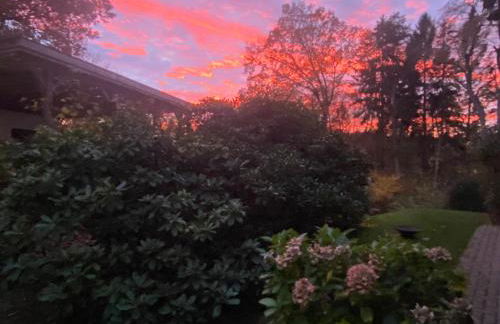 Saunahäuschen - Foto 17