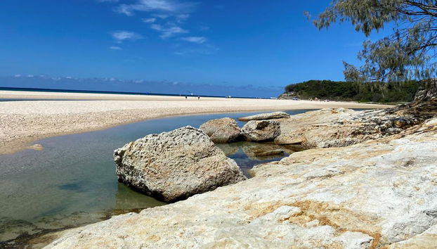 Isla North Stradbroke y Atardecer - Excursión de un día completo para grupos pequeños - Foto 4