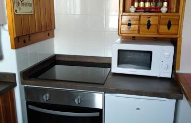 Peña del viento a pie de pistas estación San Isidro - Foto 12