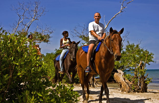 Chukka Ocean Outpost Reiten & Schwimmen und Mountain to Sea ATV Safari - Foto 6
