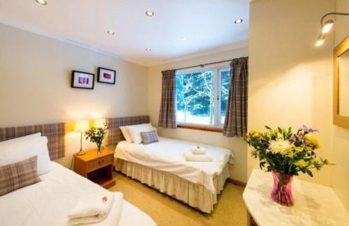 Osprey Lodge with river and mountain view - Foto 13