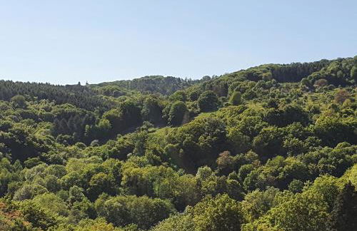 Die grüne Oase am RheinSteig 2 ZKBuWC - Foto 6