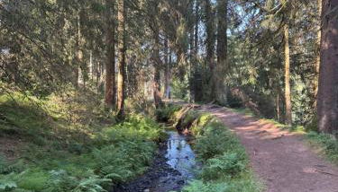 Bergmannsruh - Foto 2