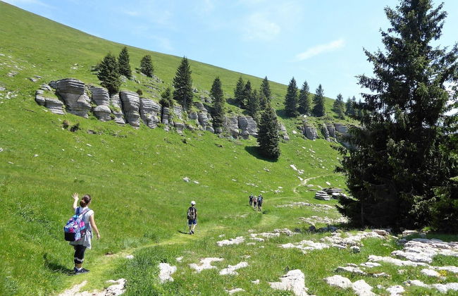 Apartment in Valbelluna With Pool & Dolomites View - Foto 33