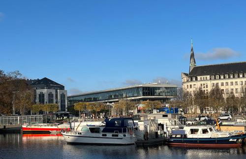 Joli studio cozy, balcon, Cité des Congrès, Gare Sud - Photo 6